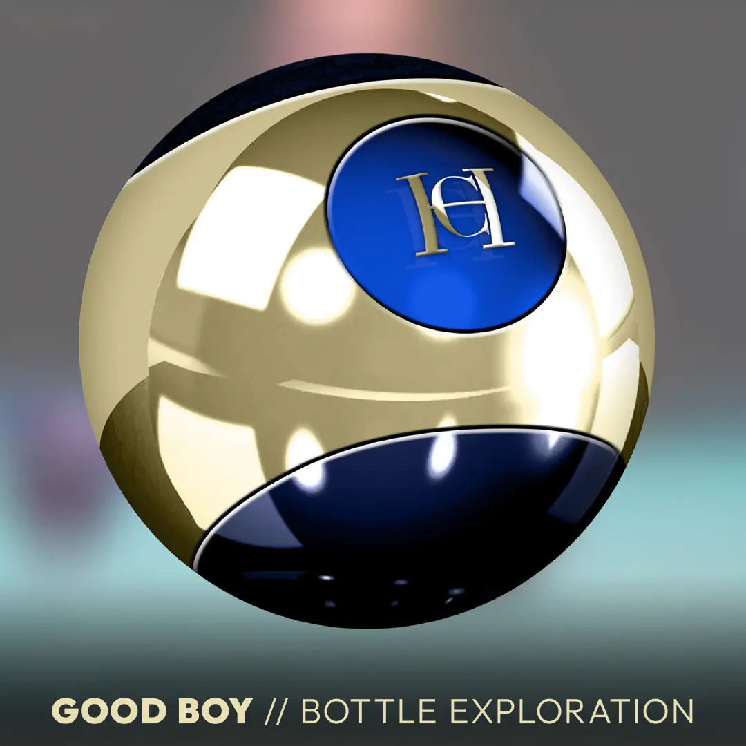 Good Boy - Product